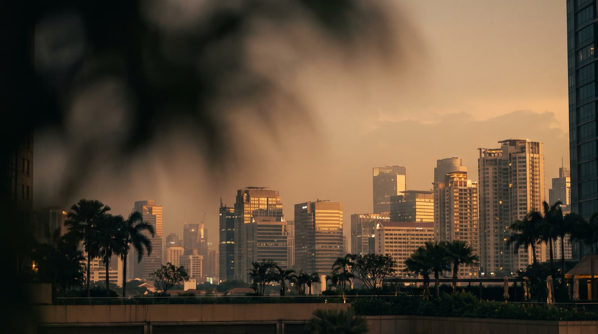Golden-hour skyline of a modern Philippine business district framed by palm trees